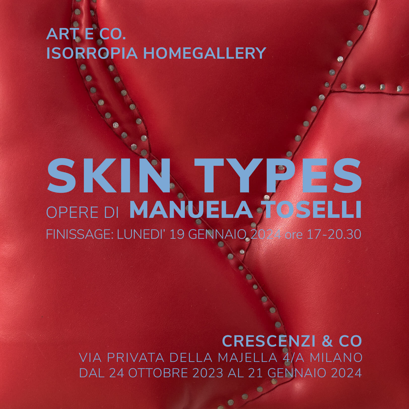 skin types #39 – 2023- silk, wood, leather and pins – 30×30 cm copyA